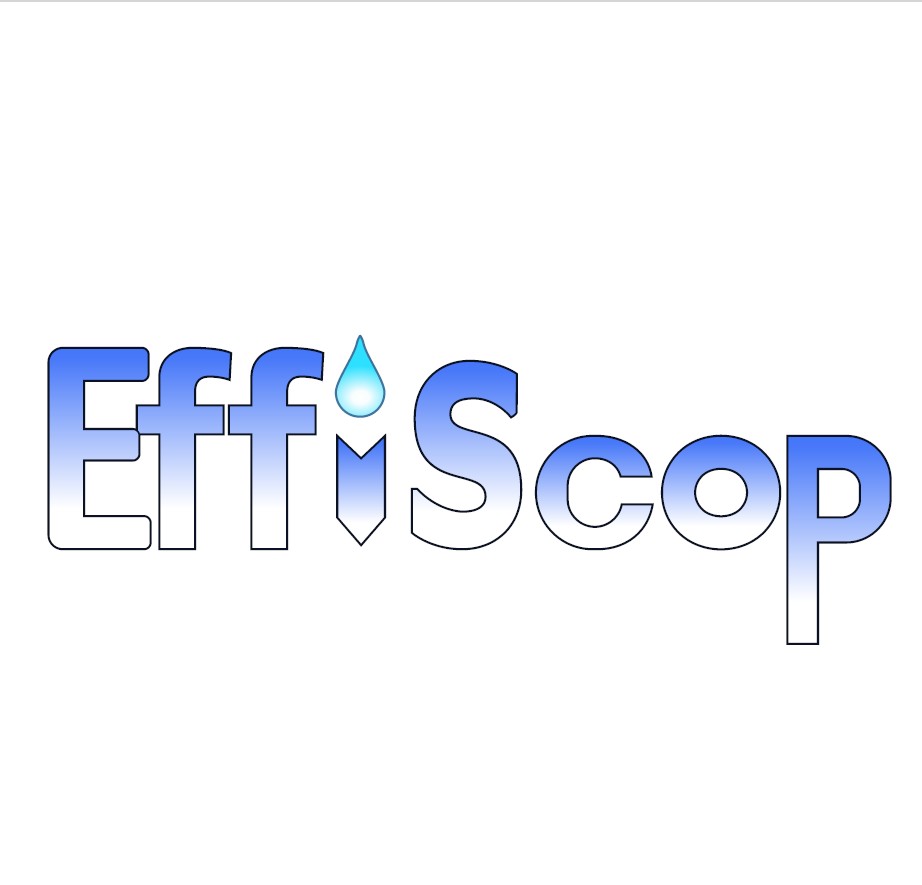 Logo EFFISCOP